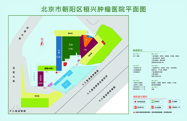 骚货骚穴被大鸡巴猛操喷水h视频北京市朝阳区桓兴肿瘤医院平面图